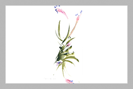 Clavel del Aire 2019