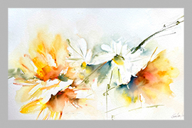 Girasoles y Margaritas 2022