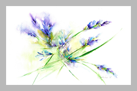 Lavanda - 76 CM x 50 CM