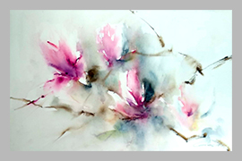 Magnolia Japonesa 18