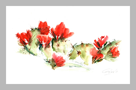 Suculentas - 76 CM x 56 CM