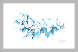 Violeta de los Alpes